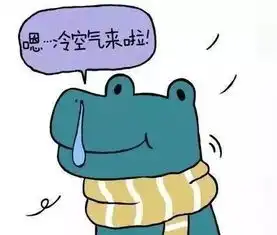 40大风大雪齐上阵这个春节北疆要被冷空气承包啦