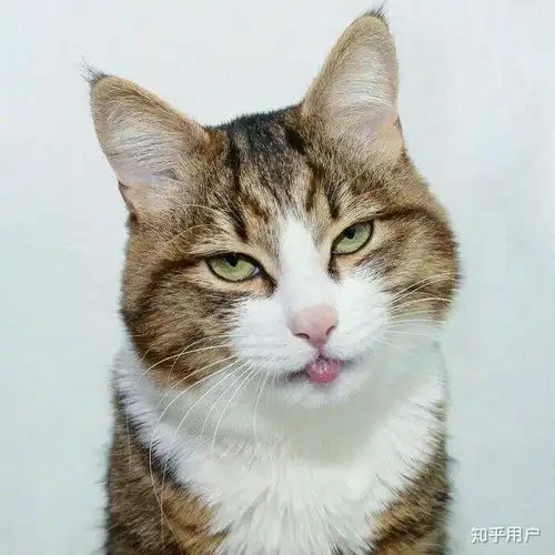 呵呵呵