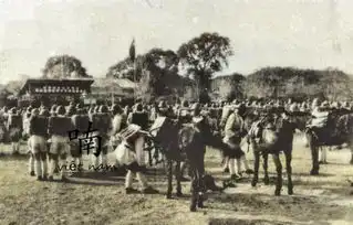 1945年中国军队入越南接受日军投降上色照胡志明随卢汉见证历史