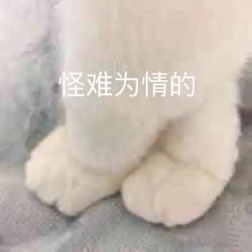 有什么可爱或有趣的文案吗