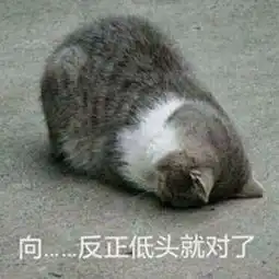 每日表情丨你不是我对手