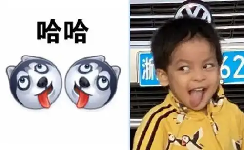 哈哈哈哈表情包偶像包袱