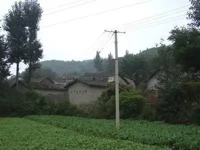 测试一个超长简介的文章