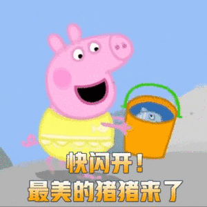 做一个快乐的猪猪女男孩