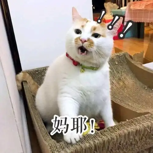 梦到我成了可以水底潜行的人