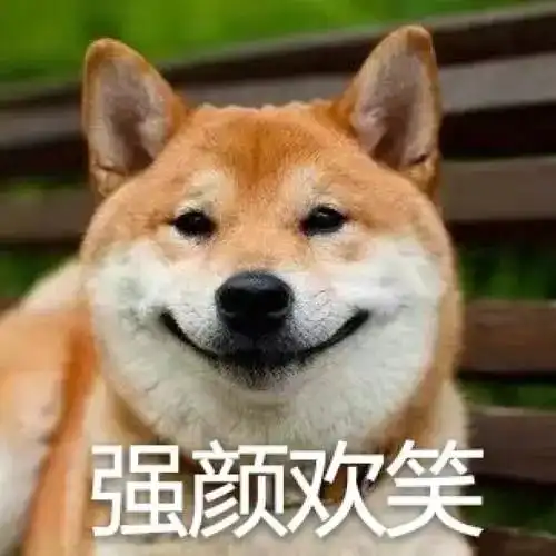 一胖遮百丑,一痘毁所有