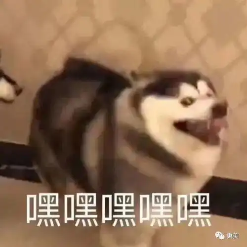 王力宏翻车后,他成贵公子圈唯一清流了