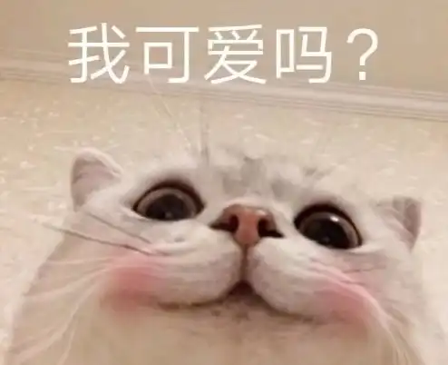 我的世界还在吃瓜9年老mc玩家表示这些人气mod超好玩