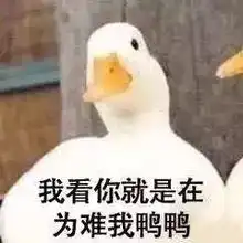 工资太低,想升职加薪,但是没学历咋办