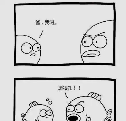 保证能让您开怀大笑的搞笑图片