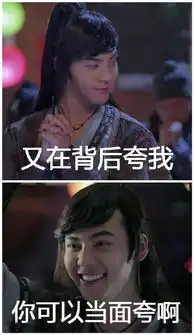 蜀山战纪热播被戏称为是表情包大戏