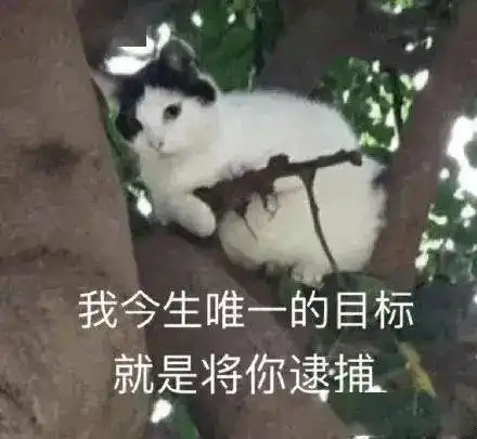 适合哄男朋友的甜甜的表情包