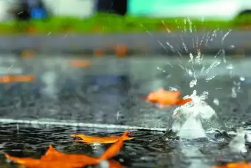 一帘秋雨,相思满地