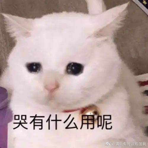 走艺体这条路,可以吗