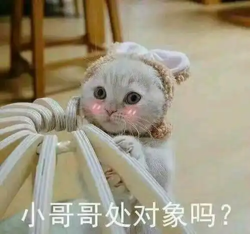 聊天动态图带字表情包