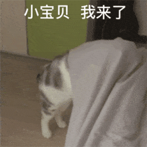 沙雕表情包