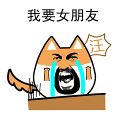 法律人撩妹手册,情人节脱单必备