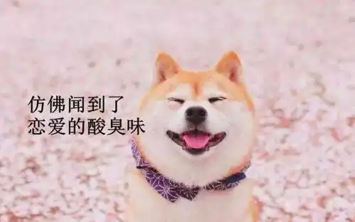 红裤衩小哥荒野行动里你救过的那个小姐姐在找你
