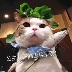 猫咪表情包丨进来吸猫