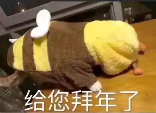 在西航七大姑八大姨的灵魂拷问hold不住自救指南拿走不谢