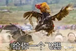 有了这些图么,鸡年斗图王非你莫属