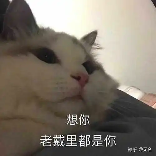 从知乎里得到那些表情包,感谢各位大佬