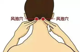 身体四大灵穴通调一身,祛除风寒湿燥火,百病不生