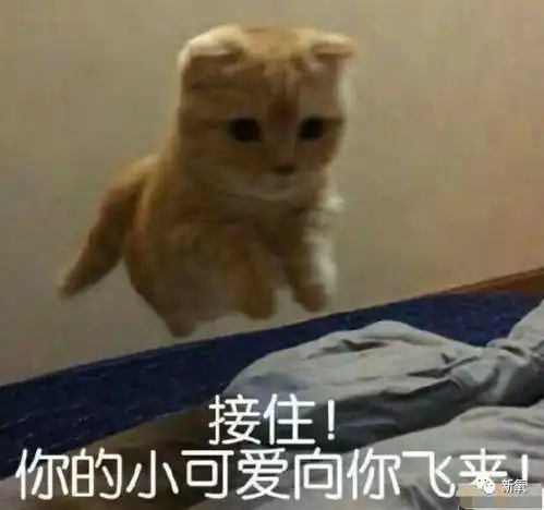 黑尾酱婚后咋成这样了一脸萎靡不振,还邋里邋遢...