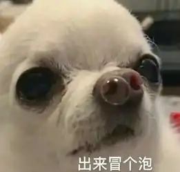 聊天又不敢表白发个表情包试探ta告诉我,想不想跟我谈恋爱