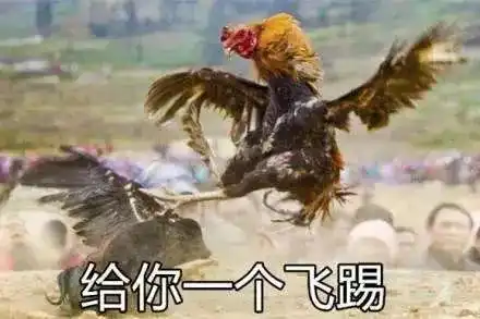 测试一个超长简介的文章