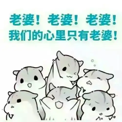 女朋友怎么又生气了