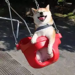 薇薇安在旅途的微博微博
