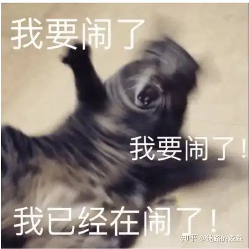 被教育机构骗怎么办亲身经历教你如何正确维权干货分享