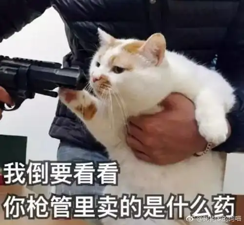 冬日朋友圈四大谣言