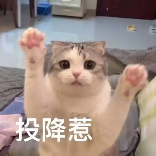 你们喜欢的表情包来啦