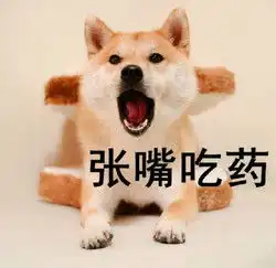 搞笑表情包大全下载搞笑表情包大全下载
