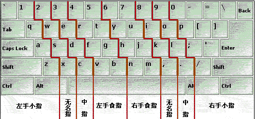 打字敲键盘的正确指法是什么详细一点