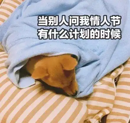 女生被男生表白后的15个心理活动