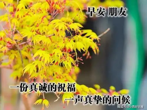 酸甜苦辣,是生命的富有喜怒哀乐,是生命的砺炼早安,早安祝福语