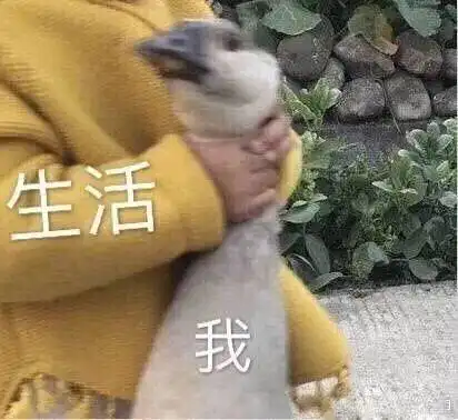 雪乡15元烤肠被吐槽上热搜隔壁泰山坐不住了
