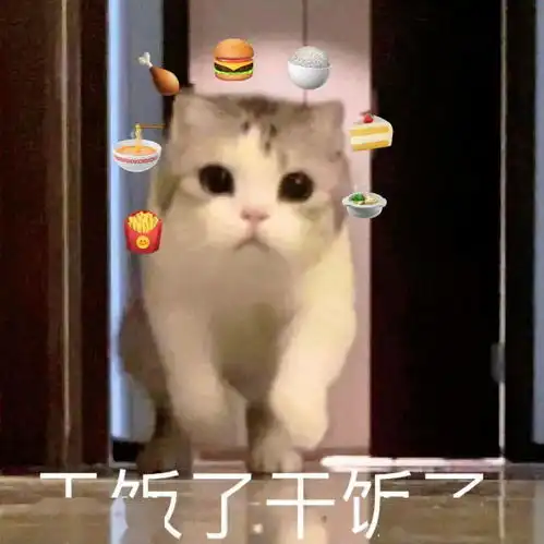 沙雕表情为什么要这样对我我还是个宝宝