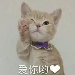 带你感受什么是不幸中的万幸,心里默默捏了一把汗