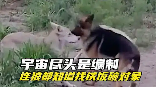 连都都知道,找对象要找有编制的...