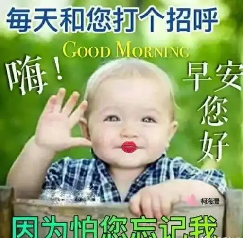正月廿八微信聊天时用的表情包免打字动态表情包