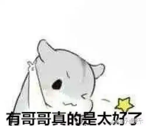 现场实拍鲅鱼圈高考表情场内是独自战斗,场外是全员陪伴