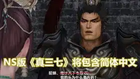 ns真三国无双7dx女性武将的脸崩了