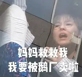 收表情包了,五角钱一斤求共享各家妹妹的沙雕表...
