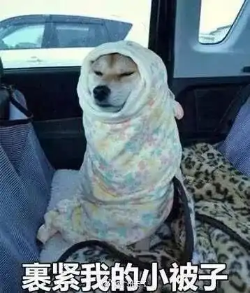重量级冷空气即将杀到荆州,新一轮降雪已在路上更扎心的是