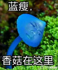 蓝瘦,香菇这个梗刷爆了票圈,最新表情包请收好
