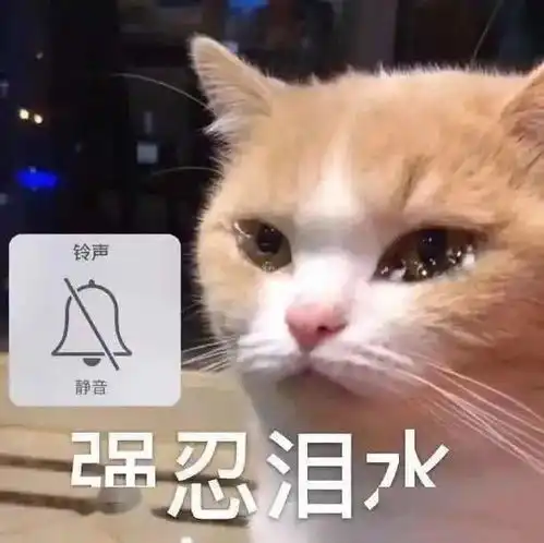 你存不存快点沙雕表情包来了